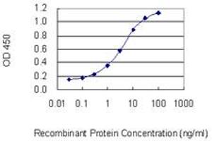 Detection limit for recombinant GST tagged MYOM1 is 0. (Myomesin 1 抗体  (AA 1586-1684))