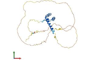 Protein Structure (PS) image for Orthodenticle Homeobox 2 (OTX2) (AA 1-289) protein (His tag) (ABIN7556739)