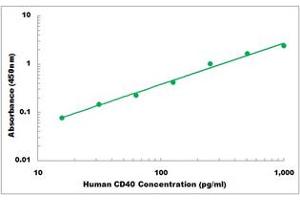Representative Standard Curve (CD40 ELISA 试剂盒)