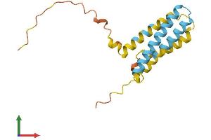 Protein Structure (PS) image for CKLF-Like MARVEL Transmembrane Domain Containing 5 (CMTM5) (AA 1-156) protein (His tag) (ABIN7561042)