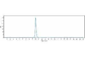 The purity of Anti-KLK2 / Kallikrein 2 Reference Antibody (JNJ-69086420) is 100 % , determined by SEC-HPLC. (Recombinant Kallikrein 2 抗体)