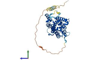 AlphaFold protein structure predicition of Human Recombinant GLTPD2 Protein, UniprotID A6NH11