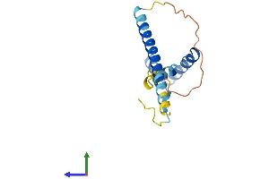 Protein Structure (PS) image for Sperm Autoantigenic Protein 17 (SPA17) (AA 1-151) protein (His tag) (ABIN7546335)