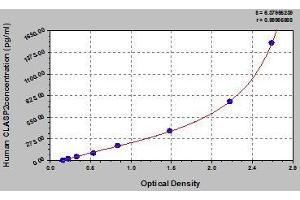 Typical standard curve (CLASP2 ELISA 试剂盒)