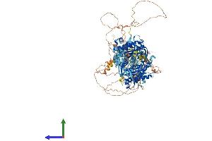 AlphaFold protein structure predicition of Mouse Recombinant Adcy9 Protein, UniprotID P51830