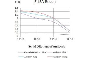 Black line: Control Antigen (100 ng),Purple line: Antigen (10 ng), Blue line: Antigen (50 ng), Red line:Antigen (100 ng) (Claudin 6 抗体)
