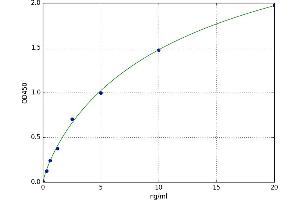 Brevican (BCAN) ELISA Kit