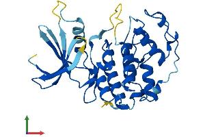 Protein Structure (PS) image for Cyclin-Dependent Kinase 5 (CDK5) (AA 1-292) protein (His tag) (ABIN7563341)