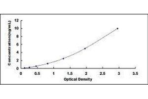 ELISA image for Sodium Channel, Nonvoltage-Gated 1 alpha (SCNN1A) ELISA Kit (ABIN419027)