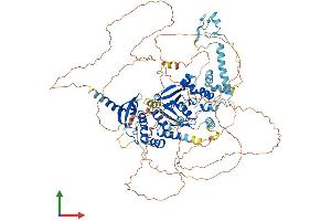 Protein Structure (PS) image for Gen Endonuclease Homolog 1 (GEN1) (AA 1-908) protein (His tag) (ABIN7554000)