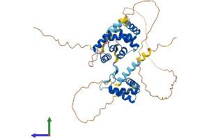 Protein Structure (PS) image for Homeobox Containing 1 (HMBOX1) (AA 1-419) protein (His tag) (ABIN7558697)