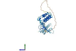 Protein Structure (PS) image for Transcription Elongation Factor A2 (TCEA2) (AA 1-299) protein (His tag) (ABIN7561730)