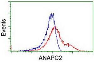 HEK293T cells transfected with either RC207539 overexpress plasmid (Red) or empty vector control plasmid (Blue) were immunostained by anti-ANAPC2 antibody (ABIN2454934), and then analyzed by flow cytometry. (ANAPC2 抗体)