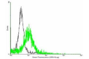 FACS analysis of negative control 293 cells (Black) and SMAD6 expressing 293 cells (Green) using SMAD6 purified MaxPab mouse polyclonal antibody. (SMAD6 抗体  (AA 1-496))