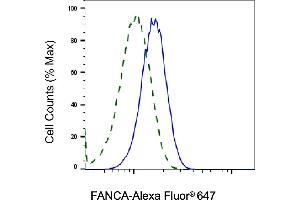 Validation of FANCA knockdown using flow cytometry. (Recombinant FANCA 抗体)