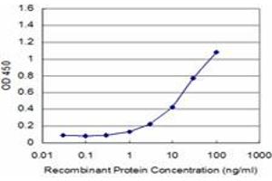 Detection limit for recombinant GST tagged KAL1 is approximately 1ng/ml as a capture antibody. (KAL1 抗体  (AA 548-657))