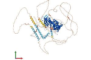 Protein Structure (PS) image for IQ Motif and Sec7 Domain 1 (IQSEC1) (AA 1-963) protein (His tag) (ABIN7554201)