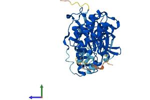 Protein Structure (PS) image for Mitogen-Activated Protein Kinase 11 (MAPK11) (AA 1-364) protein (His tag) (ABIN7554573)