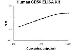 Human CD56/NCAM-1 PicoKine ELISA Kit standard curve (CD56 ELISA 试剂盒)