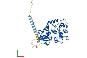 AlphaFold protein structure predicition of Mouse Recombinant Fut2 Protein, UniprotID Q9JL27 (FUT2 Protein (AA 1-347) (His tag))