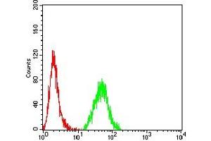 Flow Cytometry (FACS) image for anti-Calponin 3, Acidic (CNN3) (AA 26-130) antibody (ABIN7193498)