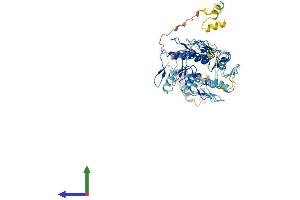 AlphaFold protein structure predicition of Human Recombinant ZNF676 Protein, UniprotID Q8N7Q3