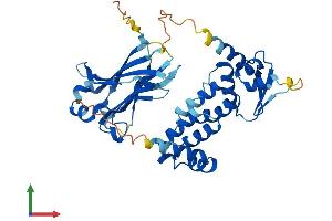 AlphaFold protein structure predicition of Mouse Recombinant Tdpoz3 Protein, UniprotID Q717B4