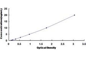 Typical standard curve (GRIN2B ELISA 试剂盒)