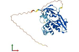 Protein Structure (PS) image for GIPC PDZ Domain Containing Family, Member 2 (GIPC2) (AA 1-315) protein (His tag) (ABIN7547947)