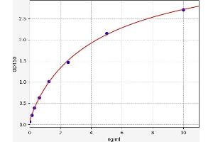 Typical standard curve