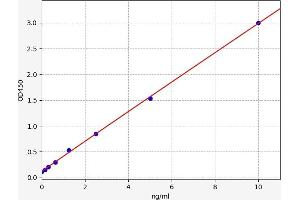 Typical standard curve (PRSS22 ELISA 试剂盒)