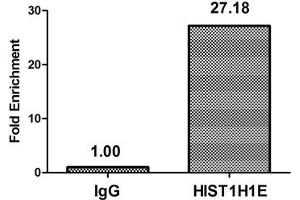 Chromatin Immunoprecipitation Hela (4*10 6 ) were treated with Micrococcal Nuclease, sonicated, and immunoprecipitated with 5 μg anti-HIST1H1E (ABIN7139274) or a control normal rabbit IgG. (HIST1H1E 抗体  (2meLys16))