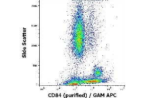 Flow cytometry surface staining pattern of human peripheral whole blood stained using anti-human CD84 (84. (CD84 抗体)
