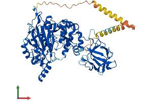 Protein Structure (PS) image for UDP-N-Acetyl-alpha-D-Galactosamine:polypeptide N-Acetylgalactosaminyltransferase 6 (GalNAc-T6) (GALNT6) (AA 1-622) protein (His tag) (ABIN7553973)