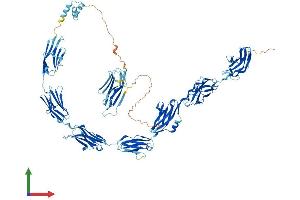 AlphaFold protein structure predicition of Human Recombinant IGSF22 Protein, UniprotID Q8N9C0