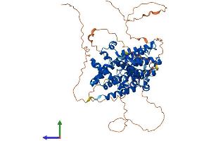 Protein Structure (PS) image for phosphodiesterase 4C, CAMP-Specific (PDE4C) (AA 1-686) protein (His tag) (ABIN7557172)