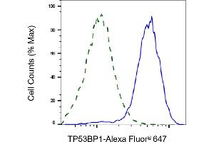Validation of TP53BP1 knockdown using flow cytometry. (TP53BP1 抗体)