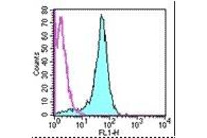 Image no. 1 for anti-CD2 (CD2) antibody (FITC) (ABIN475149) (CD2 抗体  (FITC))