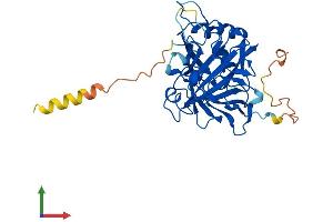 Protein Structure (PS) image for Carbonic Anhydrase X (CA10) (AA 1-328) protein (His tag) (ABIN7552993)