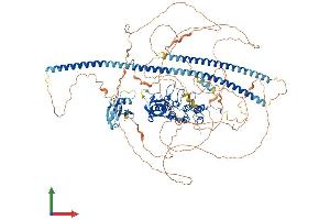 Protein Structure (PS) image for Protein Phosphatase 1, Regulatory Subunit 13B (PPP1R13B) (AA 1-1087) protein (His tag) (ABIN7563965)