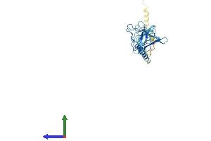 Protein Structure (PS) image for Sarcoglycan, zeta (SGCZ) (AA 1-311) protein (His tag) (ABIN7558987)