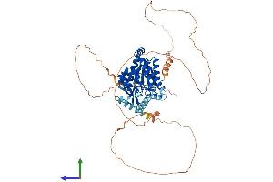 AlphaFold protein structure predicition of Human Recombinant CDYL Protein, UniprotID Q9Y232