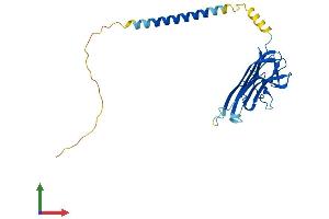 Protein Structure (PS) image for Tumor Necrosis Factor (Ligand) Superfamily, Member 14 (TNFSF14) (AA 1-240) protein (His tag) (ABIN7544497)