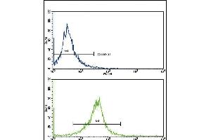 Flow cytometric analysis of K562 cells using CACNG5 Antibody (C-term)(bottom histogram) compared to a negative control cell (top histogram). (CACNG5 抗体  (C-Term))
