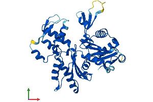 Protein Structure (PS) image for Actin Related Protein M1 (ARPM1) (AA 1-369) protein (His tag) (ABIN7558997)