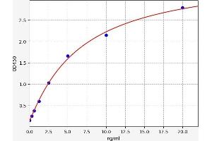 Typical standard curve (ZNF335 ELISA 试剂盒)