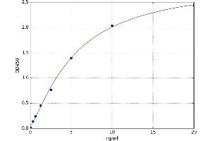 RAP1, GTP-GDP Dissociation Stimulator 1 (RAP1GDS1) ELISA Kit