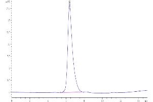 The purity of Human SEZ6 is greater than 95 % as determined by SEC-HPLC. (SEZ6 Protein (AA 20-925) (His tag))