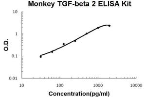 Monkey Primate TGF-beta 2 PicoKine ELISA Kit standard curve