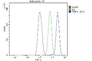 Flow Cytometry analysis of THP-1 cells using anti-PTBP2 antibody (ABIN7599453). (PTBP2 抗体  (AA 1-504))